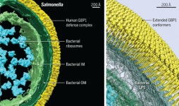 피알지에스앤텍, 감염에 대한 방어 구조 논문 발표
