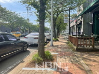 광양시, 안전한 보행 위해 가로수 정비