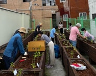 부산 중구 동광동주민센터, 동광행복텃밭 개강