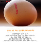 [지식人] 살충제 달걀 파문으로 주목받는 동물복지 농장