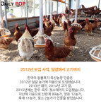 [지식人] 살충제 달걀 파문으로 주목받는 동물복지 농장