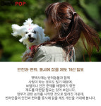 [솔로이코노미] 반려동물 이용 펫택시, 논란 이유는?