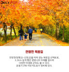 [나홀로 여행] 울긋불긋 물든 서울의 단풍길을 거닐어보자-1탄