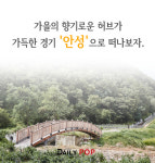 [나홀로 여행] 가을의 향기로운 허브 가득 경기 '안성'으로 떠나보자.