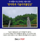 [나홀로 여행] 가을의 향기로운 허브 가득 경기 '안성'으로 떠나보자.