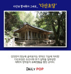 [나홀로 여행] 출렁다리 건너 섬으로 전남 강진