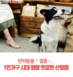 [솔로이코노미] 반려동물↑ 결혼↓..1인가구 시대 명암 엇갈린 산업들