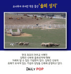 [나홀로 여행] 바다와 목장에서 즐기는 충남 당진 여행