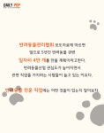 [반려동물] 반려동물 전문 직업 그것이 궁금