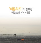 [나홀로 여행] 피톤치드 풍부한 해송숲과 바다여행