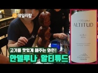 [데일리팝TV-와.알.못] 와인 초보자 주목! 고기의 느끼함을 달콤하게 바꿔주는 와인 안델루나 알티튜드