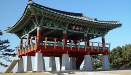 [나홀로 여행] 서천의 아름다운 일출과 동백꽃에 반하다