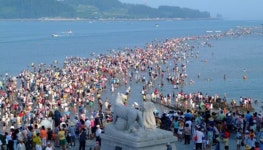 [나홀로 여행] 신비의 바닷길이 열리는 진도로 떠나다