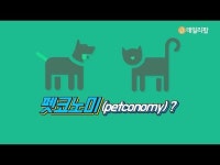 반려동물은 가족 펫팸족 증가에 확대되는 펫코노미 [데일리팝TV-솔로이코노미 상식]