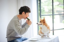 [솔로이코노미] 강아지 사료에 샴푸까지...뷰티 업계가 펫코노미에 뛰어든 이유