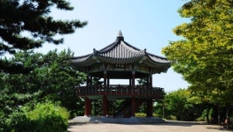 [나홀로 여행] 사시사철 아름다운 부산 바다를 바라보다