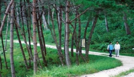 [나홀로 여행] 봉화의 정취와 함께하는 힐링 여행