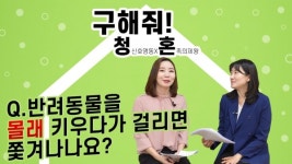 [구해줘! 청혼] 집주인 몰래 키우던 반려동물! 들킨다면 쫓겨날까?