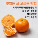 [생활 Tip] 겨울 대표 간식, 맛있는 귤 고르는 방법