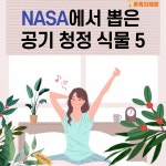 [자취 Tip] NASA에서 지정한 공기청정 실내 식물 TOP5