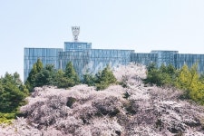 중앙대학교 사진센터(CCP), 오는 23일까지 수강신청 실시…사진의 기초 이론부터 고급 실기 과정까지