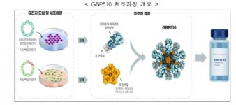 국내 개발 코로나19 백신 GBP510 3상 임상시험 승인