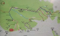 [나홀로 취미] 혼자 등산가기? 쉬운 산부터 시작해보세요. 아차산부터 용마산까지