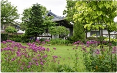 풀내음 가득한 정원이 로망이라면? 오픈가든으로 떠나자