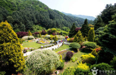 가평 가볼만한곳 추천, 자연·체험·동물원까지 다양