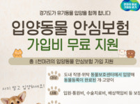 입양 부담 낮춘다…경기도 입양동물 안심보험 지원
