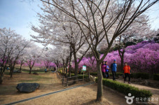 [이번주 날씨] 부천, 맑은 날씨 중심…큰 기온 변화 없어 안정세