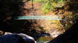 영상앨범 산, 3대 계곡 지리산 칠선계곡..4개월 동안 예약자에 한해서 탐방 가능