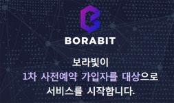 블록체인 전문회사 뱅코, 가상화폐 거래소 보라빛 오픈