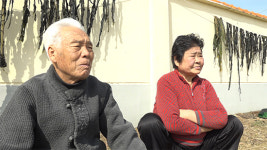 인간극장, 감태 원산지 충남 태안의 일벌레 노부부의 바지런한 일상 1부!