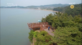 만해 한용운 생가터에 쏟아지는 관심, 자녀들 출생 신고도 하지 않을 정도로 투철한 항일 정신!