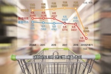 이마트·롯데쇼핑·홈플러스 추락...대형마트 시대 저무는가