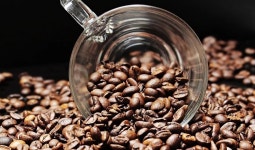 카페인 커피 카페인의 일일 최대 섭취 권장량은 성인