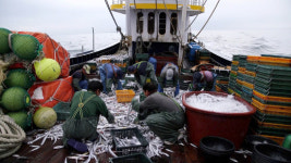 한국인의 밥상 최불암 목포 방문기! 나이 부인 김민자와 두살차, 전원일기 아내 김혜자와는 한살차!