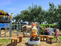 마사회, 농촌체험휴양마을 말테마 체험 사업 개시