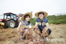 KB손해보험, 1사1촌 맺은 정안마을 찾아 봉사활동 진행