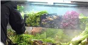 서울 강남에서 유통된 농산물 22%에서 잔류농약 검출