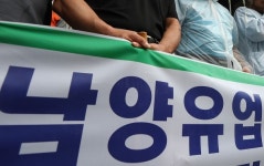 남양유업, 아이꼬야 주스 곰팡이 논란에 판매 중단