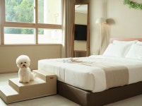 여행하는 강아지 한화리조트 평창으로…이색 펫캉스 패키지 선봬