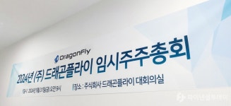 경영진 물갈이했지만...여전히 재기 묘연한 드래곤플라이