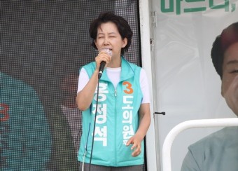 손학규 바른미래 상임선대위원장 양평 지원 유세