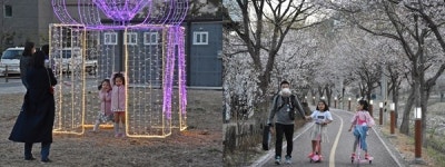 이웃과 함께 꽃구경… 제1회 용문 힐링로드 걷기행사