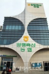 양평축협 보궐선거 실시하지만… 일정 오리무중