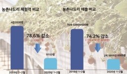 딸기 익어가도 따갈 사람이 없어