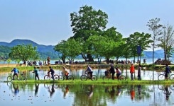 관광과 두물머리 관리 관광과 업무 아니다