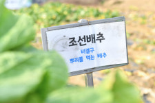 2021년 읍면 업무보고... 우리동네 현안은? 2